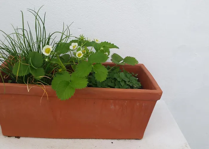 بيت للعطل Casas Do Patheo